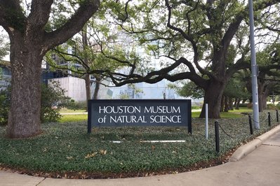 Museum of Natural Sciences in Manaus, Brazil – Museum Information gallery image