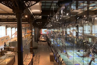 Museum of Natural Sciences in Manaus, Brazil – Museum Information gallery image
