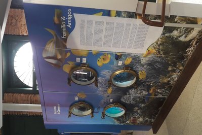 Museu do Mar – Aleixo Belov in Salvador, Brazil – Museum Information gallery image