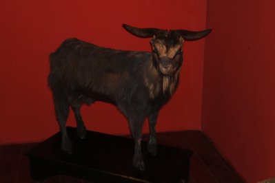 Museu do Bode Ioiô in Fortaleza, Brazil – Museum Information gallery image