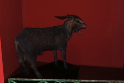 Museu do Bode Ioiô in Fortaleza, Brazil – Museum Information gallery image
