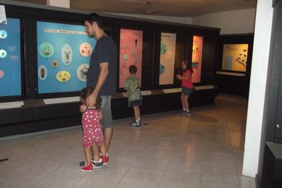 Museu de Ciências Naturais in Brasilia, Brazil – Museum Information gallery image
