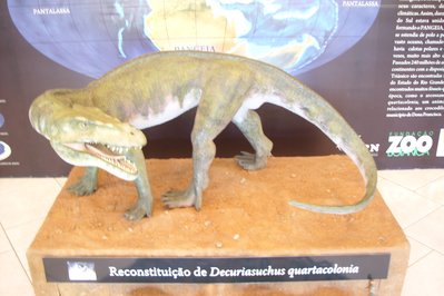 Museu de Ciências Naturais in Brasilia, Brazil – Museum Information gallery image