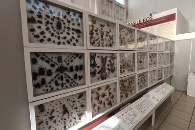 Museu de História Natural do Araguaia – MuHNA in Mato Grosso, Brazil – Museum Information gallery image