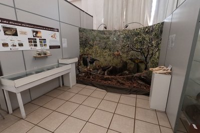 Museu de História Natural do Araguaia – MuHNA in Mato Grosso, Brazil – Museum Information gallery image