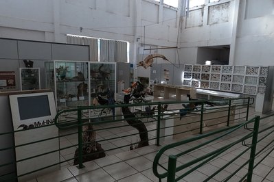 Museu de História Natural do Araguaia – MuHNA in Mato Grosso, Brazil – Museum Information gallery image