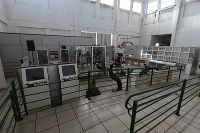 Museu de História Natural do Araguaia – MuHNA in Mato Grosso, Brazil – Museum Information gallery image