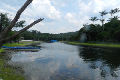 Floresta Nacional do Tapajós in Alter do Chao, Brazil – Museum Information gallery image