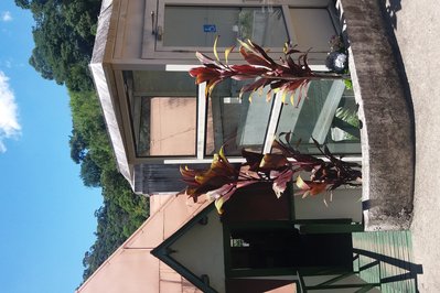 Casa de Santos Dumont in Petropolis, Brazil – Museum Information gallery image