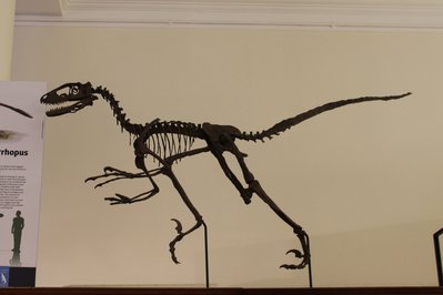 Earth Sciences Museum in Rio de Janeiro, Brazil – Museum Information gallery image