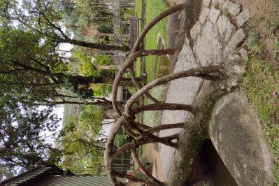 Fundação Casa de Rui Barbosa in Rio de Janeiro, Brazil – Museum Information gallery image