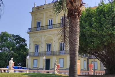 National Museum of Brazil in Rio de Janeiro, Brazil – Museum Information gallery image