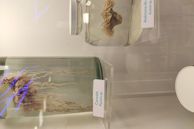 Museu de Ciência e Tecnologia PUCRS in Porto Alegre, Brazil – Museum Information gallery image