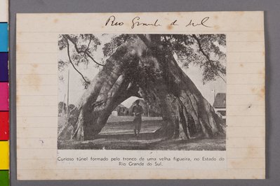 Rio Grande do Sul Museum of Art in Porto Alegre, Brazil – Museum Information gallery image