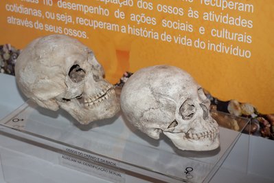 Museu Arqueológico de Sambaqui de Joinville in Santa Catarina, Brazil – Museum Information gallery image