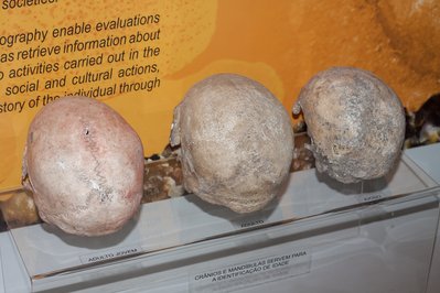Museu Arqueológico de Sambaqui de Joinville in Santa Catarina, Brazil – Museum Information gallery image