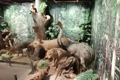Museu Histórico da Imigração Japonesa no Brasil in Sao Paulo, Brazil – Museum Information gallery image