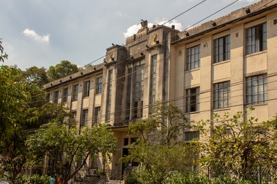 Museum of Zoology of the University of São Paulo in Sao Paulo, Brazil – Museum Information gallery image