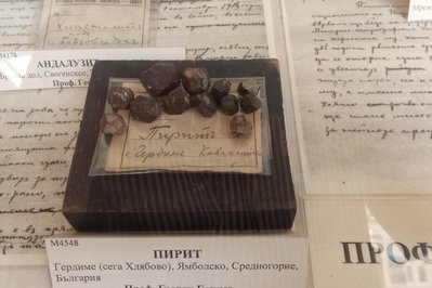 Mineralogy and Petrology Museum in Edmonton, Canada – Museum Information gallery image