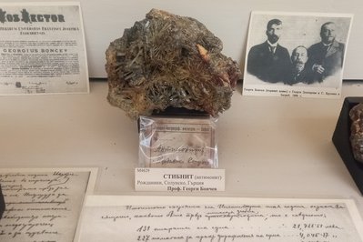 Mineralogy and Petrology Museum in Edmonton, Canada – Museum Information gallery image