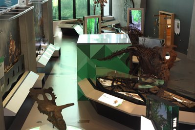 Philip J. Currie Dinosaur Museum in Alberta, Canada – Museum Information gallery image