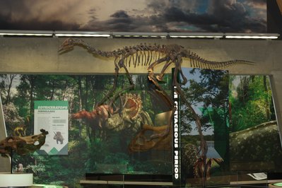 Philip J. Currie Dinosaur Museum in Alberta, Canada – Museum Information gallery image