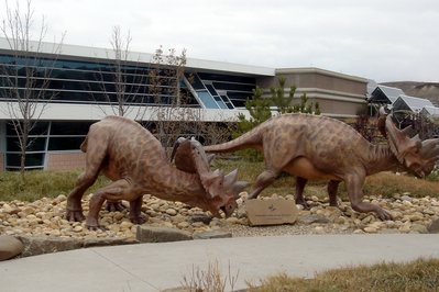 Royal Tyrrell Museum in Alberta, Canada – Museum Information gallery image