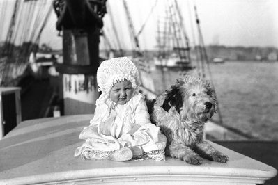 First National Dog Museum in Kamloops, Canada – Museum Information gallery image