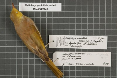 Museum At Campbell River in British Columbia, Canada – Museum Information gallery image