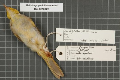 Museum At Campbell River in British Columbia, Canada – Museum Information gallery image