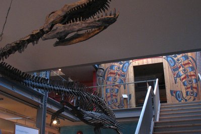 Nanaimo Museum in Nanaimo, Canada – Museum Information gallery image