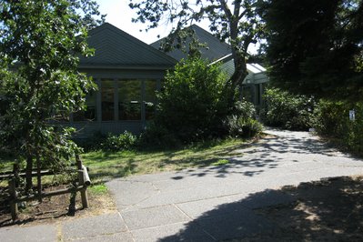 Swan Lake – The Nature House in Victoria, Canada – Museum Information gallery image