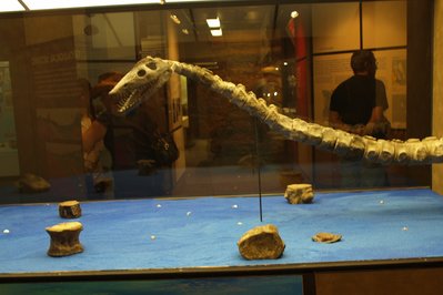 Canadian Fossil Discovery Centre in Manitoba, Canada – Museum Information gallery image