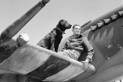 Labrador Military Museum in Newfoundland and Labrador, Canada – Museum Information gallery image