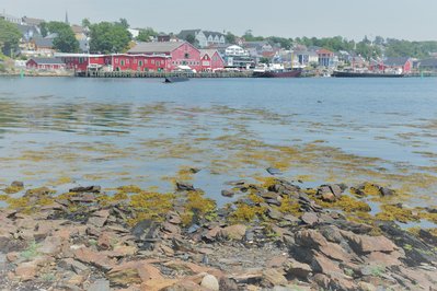 Fisheries Museum of the Atlantic in Lunenburg, Canada – Museum Information gallery image
