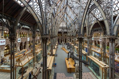 Museum of Natural History in Halifax, Canada – Museum Information gallery image