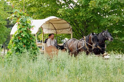 Ross Farm Museum in Nova Scotia, Canada – Museum Information gallery image