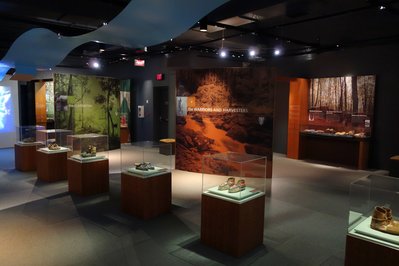 Bata Shoe Museum in Toronto, Canada – Museum Information gallery image