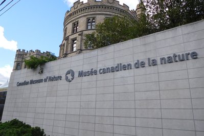 Canadian Museum of Nature / Musée canadien de la nature in Ottawa, Canada – Museum Information gallery image