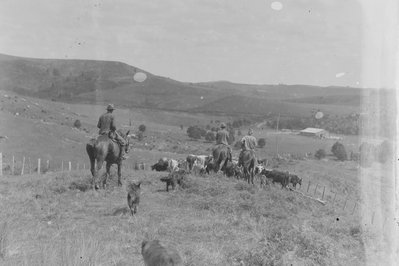 Horse and Cattle Barn in Ottawa, Canada – Museum Information gallery image