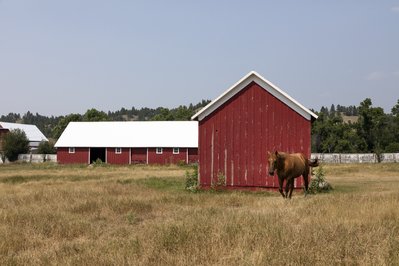Horse and Cattle Barn in Ottawa, Canada – Museum Information gallery image