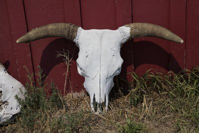 Horse and Cattle Barn in Ottawa, Canada – Museum Information gallery image