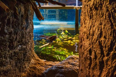 Science North in Sudbury, Canada – Museum Information gallery image