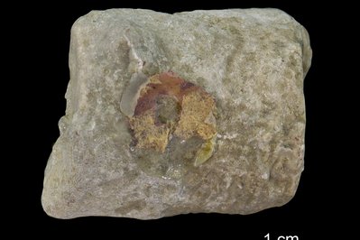 The Miller Museum Of Geology in Kingston, Canada – Museum Information gallery image