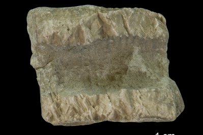 The Miller Museum Of Geology in Kingston, Canada – Museum Information gallery image