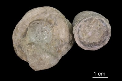 The Miller Museum Of Geology in Kingston, Canada – Museum Information gallery image