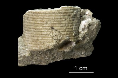 The Miller Museum Of Geology in Kingston, Canada – Museum Information gallery image
