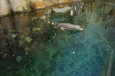 Montreal Biodome in Montreal, Canada – Museum Information gallery image