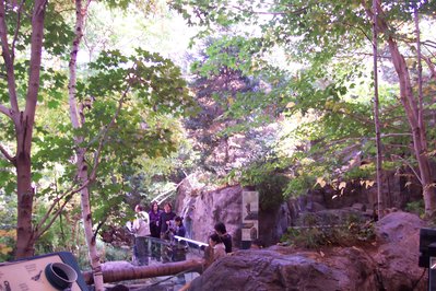 Montreal Biodome in Montreal, Canada – Museum Information gallery image