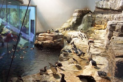 Montreal Biodome in Montreal, Canada – Museum Information gallery image